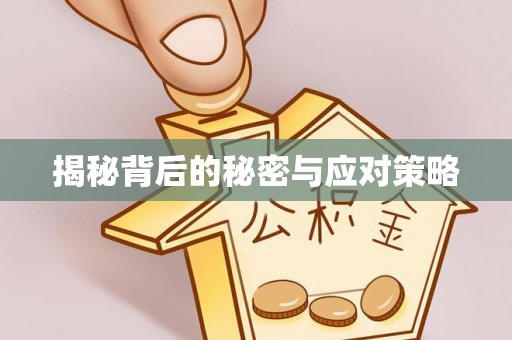 西昌揭秘背后的秘密与应对策略