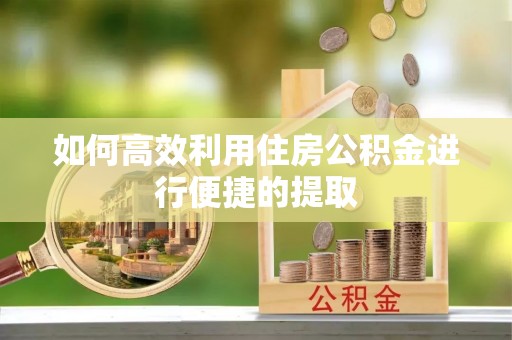 西昌如何高效利用住房公积金进行便捷的提取