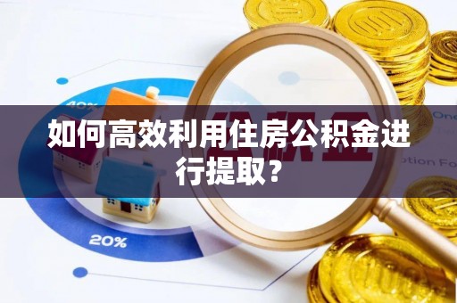 西昌如何高效利用住房公积金进行提取？
