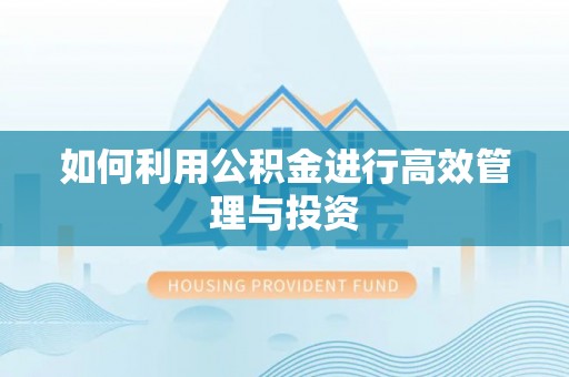 西昌如何利用公积金进行高效管理与投资