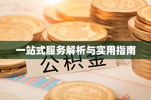 西昌一站式服务解析与实用指南