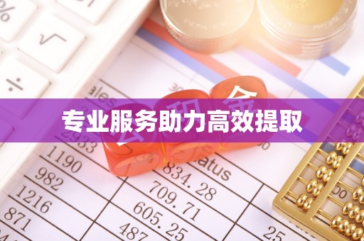 西昌专业服务助力高效提取