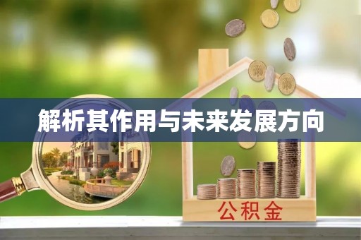 西昌解析其作用与未来发展方向