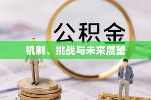 西昌机制、挑战与未来展望