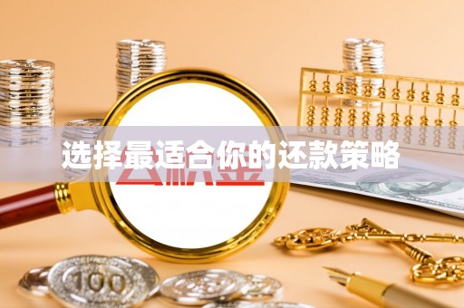 西昌选择最适合你的还款策略