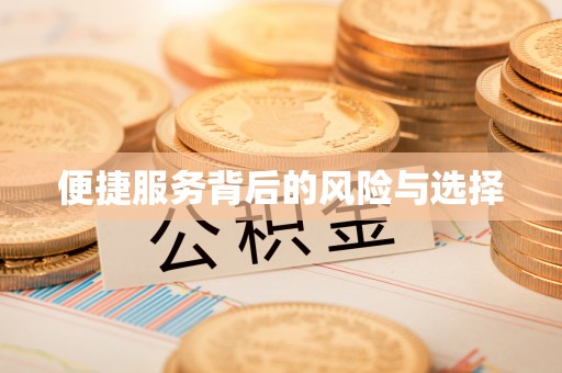 西昌便捷服务背后的风险与选择