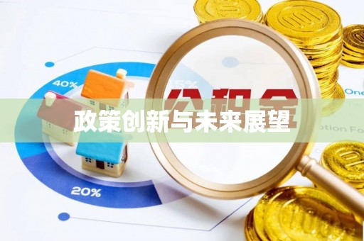 西昌政策创新与未来展望
