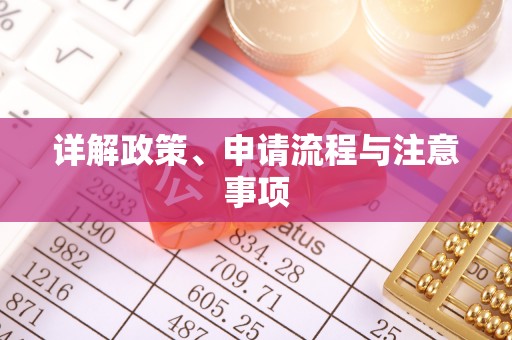 西昌详解政策、申请流程与注意事项