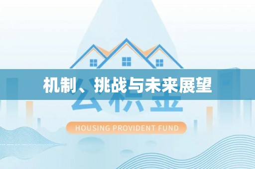 西昌机制、挑战与未来展望
