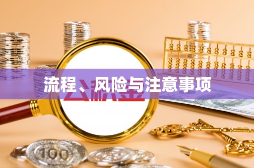西昌流程、风险与注意事项