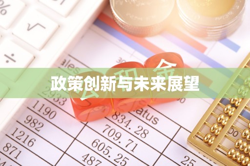 西昌政策创新与未来展望