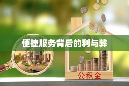 西昌便捷服务背后的利与弊