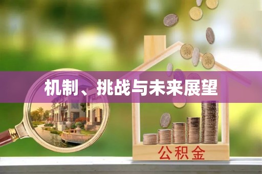 西昌机制、挑战与未来展望